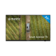 Télévision Smart Android Mestic - Connectée, Full HD et Compatible 12/24/240 V