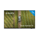 Télévision Smart Android Mestic - Connectée, Full HD et Compatible 12/24/240 V